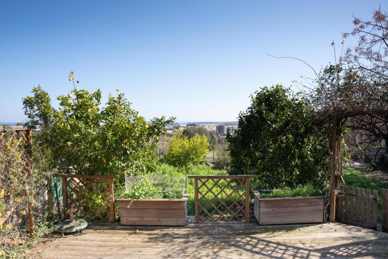 Corsica Fiurita Appartement Furiani Buitenkant foto